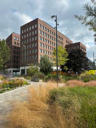 An image in Aire Park showing the paths and planting leading towards a building