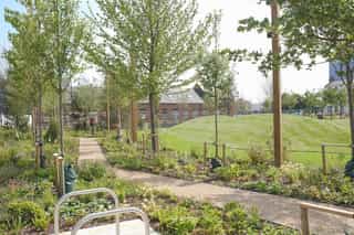 An Image of a path surrounded by trees and planting at Aire Park