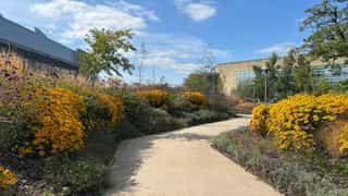 Finished park and planting surround the business park buildings.