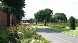 Photo of the Stanley Park Restoration, a path leading to arches with a bed of roses on the left hand side and shrubs on the right