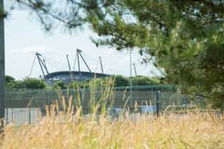 A low angle image in amongst plants and trees, with the Etihad Stadium off in the distance
