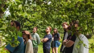 An image of people standing in an orchard looking up at the trees