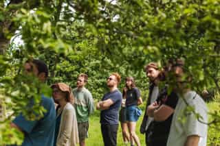 An image of people standing in an orchard looking up at the trees