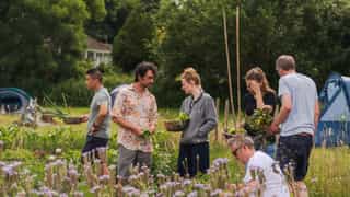 An image of people foraging for vegetables, collecting them in baskets
