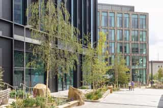 An image of the people walking down the path at Pounds Park