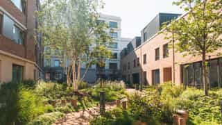 An image of a courtyard at Sugar House Island filled with planting, there are people sitting at a bench in the distance