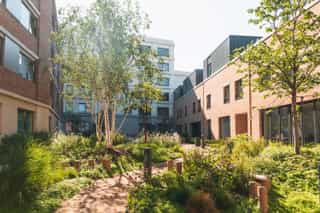 An image of a courtyard at Sugar House Island filled with planting, there are people sitting at a bench in the distance