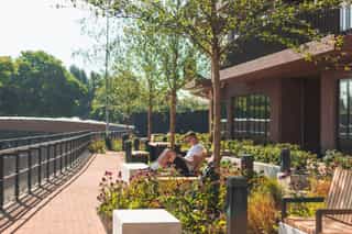 An image of a man lying on the seating by a canal at Sugar House Island, he is surrounded by planting on a sunny day