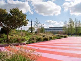 Image of a large bright pink mural on the ground infront of planting